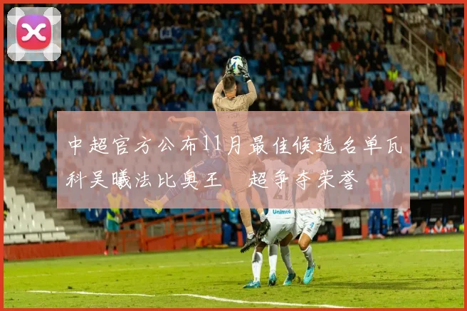 中超官方公布11月最佳候选名单瓦科吴曦法比奥王燊超争夺荣誉