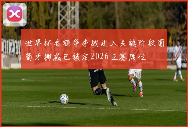 世界杯名额争夺战进入关键阶段葡萄牙挪威已锁定2026正赛席位
