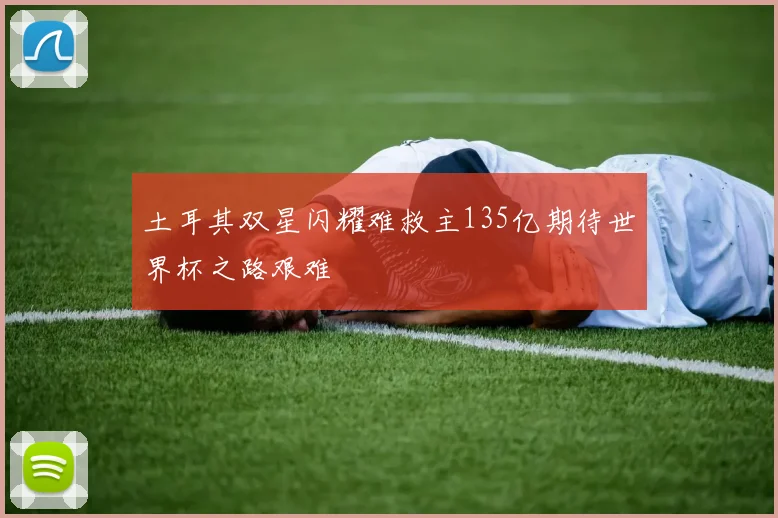 土耳其双星闪耀难救主135亿期待世界杯之路艰难