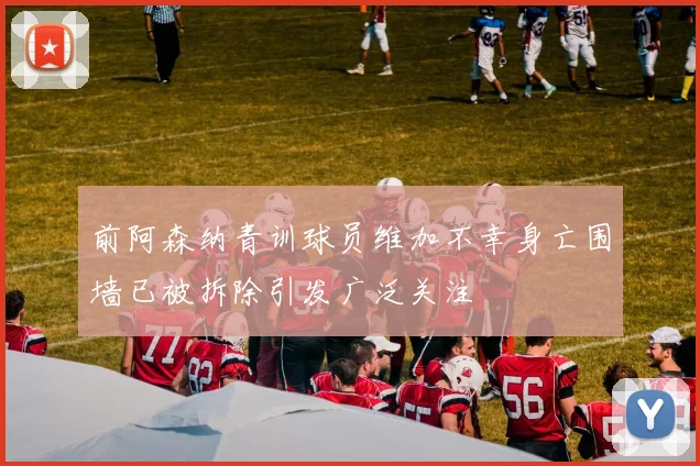 前阿森纳青训球员维加不幸身亡围墙已被拆除引发广泛关注